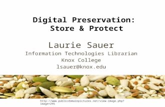 Digital Preservation:  Store & Protect