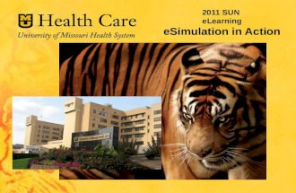 2011 SUN  eLearning eSimulation  in Action