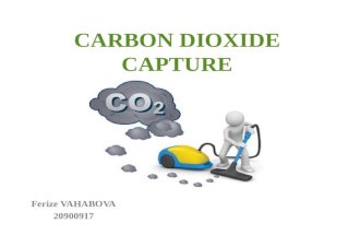 CARBON DIOXIDE CAPTURE