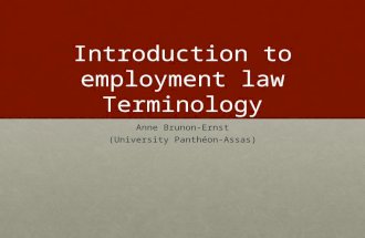 Introduction to  employment law Terminology