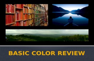 BASIC COLOR REVIEW