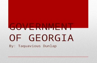 GOVERNMENT OF GEORGIA
