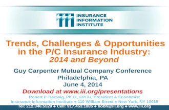 Trends, Challenges & Opportunities in the P/C Insurance Industry: 2014 and Beyond