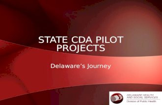 State CDA Pilot Projects