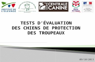 TESTS D’ÉVALUATION  DES CHIENS DE PROTECTION  DES TROUPEAUX