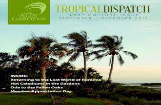 Tropical Dispatch September to December 2012