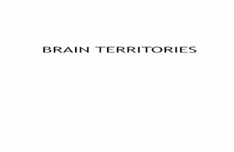 brain territories
