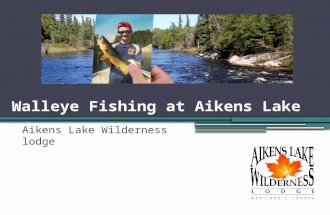 Walleye Fishing - Aikens Lake