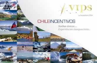 Manual Vips Incentives Chile