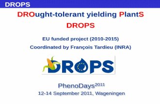 DROPS An EU-funded project to improve drought tolerance in maize and wheat
