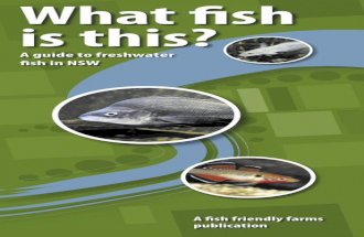 Freshwater Fish Guide NSW