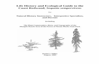 Life History and Ecological Guide to the Coast Redwood