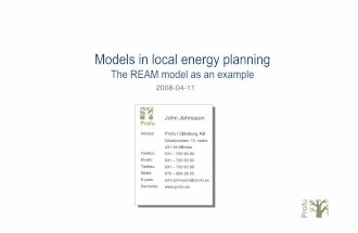 Models in Local Energy Planning: The REAM Model as an Example