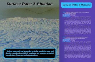 Surface Water and Riparian Studies Summary
