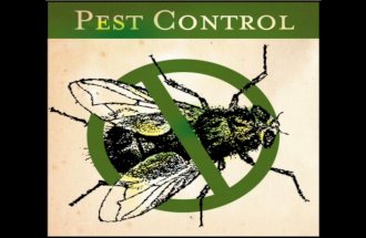 Message Series - Pest Control - Part 1 - Controlling The Pest Of Stress - 10-07-12