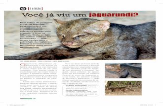 Biologia_Jaguarundi