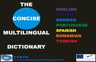 Multiligual dictionary