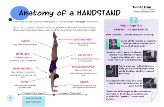 Handstand Homework Sample Pages