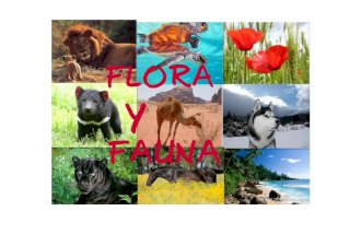 Fauna y flora mundial