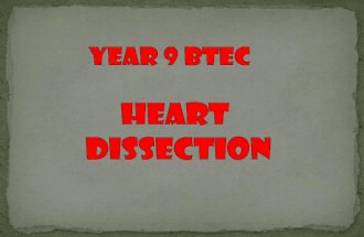 Year 9 BTEC Heart Dissection