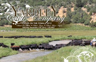 Yardley Cattle Co Focus on the Female 2012