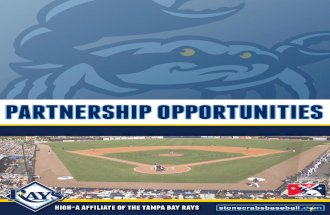 Charlotte Stone Crabs 2014 Partnership Opportunities