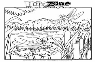 2012 VBS BugZone Free Coloring Pages