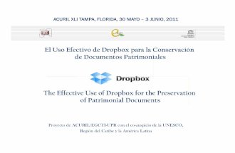 Acuril XLI Dropbox for the preservation of patrimonial documents