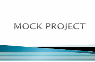 mock project