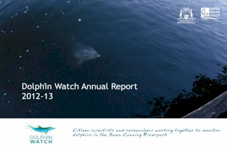 Dolphin Watch Annual Report 2012-13
