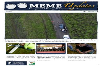 MEME Updates n5 (June 2012)