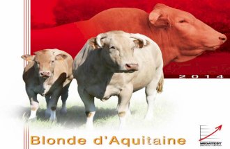Catalogue taureaux MIDATEST Blonds d'Aquitaine 2014