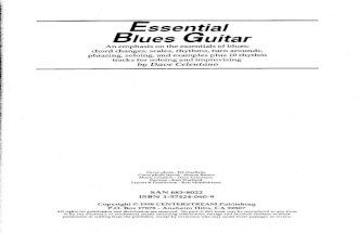 Essential Blues Guitar Lessons