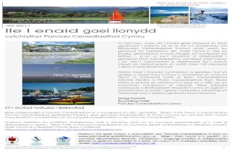 Lle I Enaid Gael Llonydd: Haf 2011