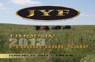2013 JYF Limousin Production Sale