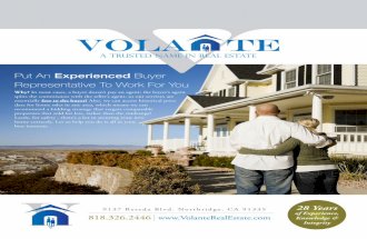 Volante Real Estate Buyers Packet