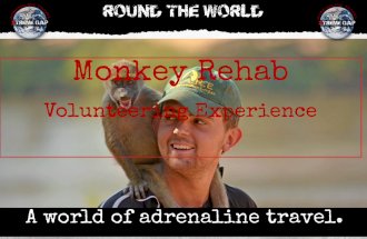 South Africa Monkey Rehab
