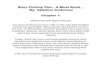 Bass Fishing Tips - A Must Read...