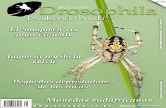 Boletín Drosophila N15