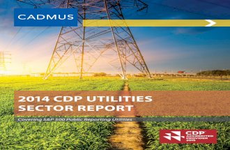 2014 CDP Utilities Sector Report - Cadmus