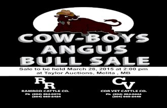 Cowboys Angus Bull Sale