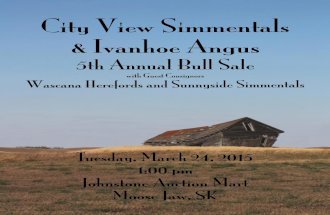 City View Simmentals and Ivanhoe Angus & Guests Annual Bull Sale