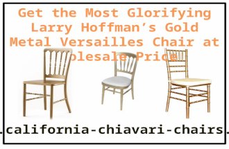 Get the Most Glorifying Larry Hoffman’s Gold Metal Versailles Chair at Wholesale Price