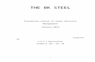 The Bk Steel