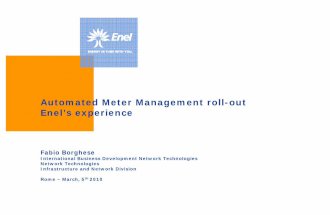 04_-_Automated_Meter_Management_roll-out_borghese_fabio.pdf