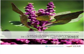 Caracterización y Diagnóstico de La Cadena de Valor de La Quinoa en Argentina