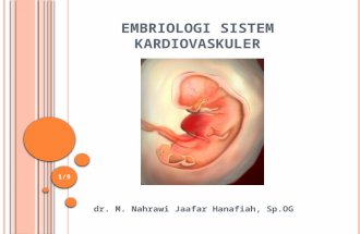 embriologi-susunan-kardiovaskuler