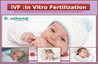 IVF in Vitro Fertilization - Southendivf