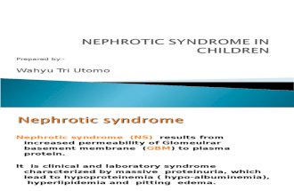 Nephrotic Syndrome h