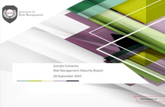 Risk Management Maturity Report